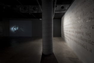 zły sen | (fragment wystawy) | Galeria ASP w Katowicach Rondo Sztuki | 2015