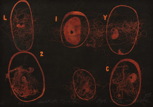 Olga Pałka-Ślaska, „InVitro”, druk wklęsły, 2009