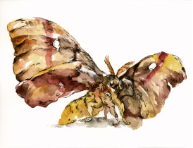 anna_karasińska_fairy