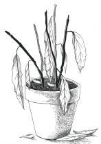 julia_moruń_zapomnieć