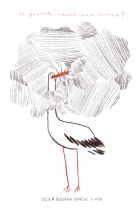 aleksandra_bylica_dzień bociana białego