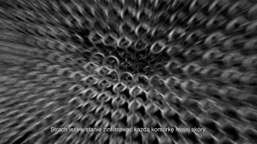 Cyfrowe Konfrontacje 2024 – Ziemowit Jarecki 