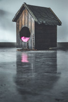 Magdalena Palian, "Pieskie życie", obiekt; używana buda +haft na tkaninie.