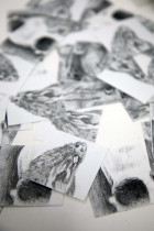 Maciej Budziński, seria wlepek.