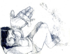 Lidia Nylec, cykl ilustracji.