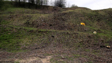 Historia Grzybiarza, HD video 1:30 min, 2016