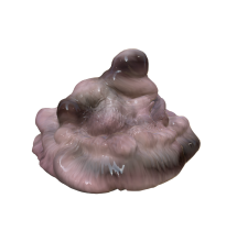 Brudaski / obiekt AR - Marianna Rodziewcz