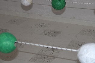 Zbiornik - Weronika Janica