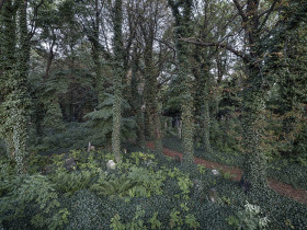 z cyklu "Tu stała synagoga"