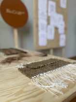 Prezentacja projektu  Kolektyw BioCraftLab na wystawie Stany Wyjątkowe, 2025