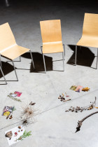 Warsztaty: Lokalne zasoby w projektowaniu regeneratywnym, 2025 (zesp&oacute;ł kuratorski: B. Kubska, A. Pohl / BioCraftLab)