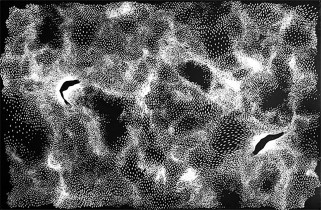 Bez tytułu, Paweł Michalec, 2005