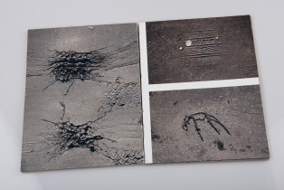 Patrycja Frejno, temat autorski (książka fotograficzna "Ślady")