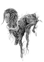 Tymoteusz Pawłowski