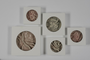 Nicola Rajda, temat: Roślina-zwierzę-człowiek, 2021