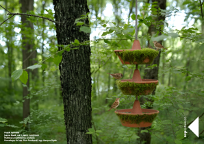 Projekt karmnika - Joanna Borek