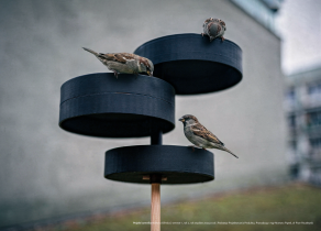 Projekt karmnika - Martyna Olińska