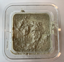 Proces przygotowywania pulpy papierowej z domieszkami - Karola Ziora II rok