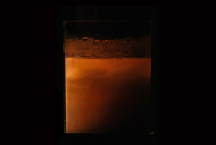 PORNO / wideoinstalacja  / Aga Piotrowska / 2013