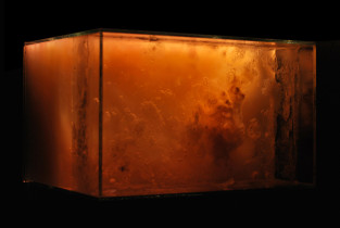 PORNO / wideoinstalacja  / Aga Piotrowska / 2013