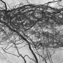 Agnieszka Piotrowska