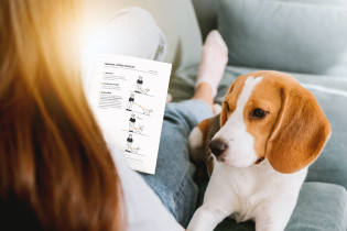 Projekt zestawu materiałów wspomagających organizację tymczasowej opieki nad zwierzętami  – Aleksandra Kustra 